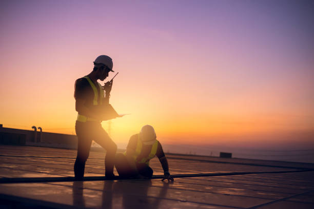 Roof Gutter Cleaning in Mount Carroll, IL
