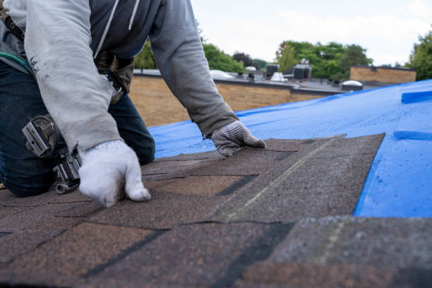 Best Flat Roof Repair Services  in Mount Carroll, IL